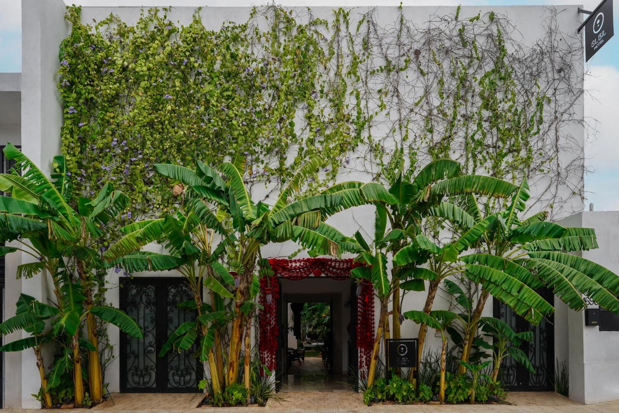 Olbil Hotel Boutique Valladolid  Exterior photo